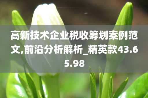 高新技术企业税收筹划案例范文,前沿分析解析_精英款43.65.98