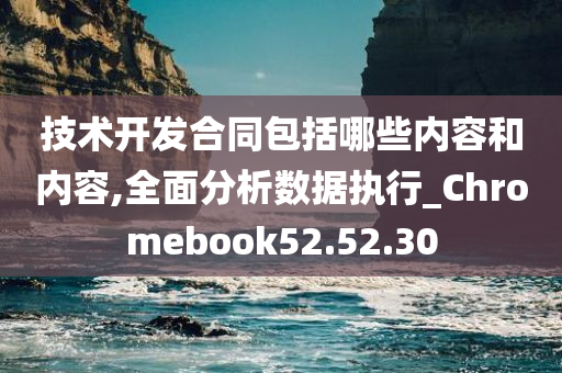 技术开发合同包括哪些内容和内容,全面分析数据执行_Chromebook52.52.30