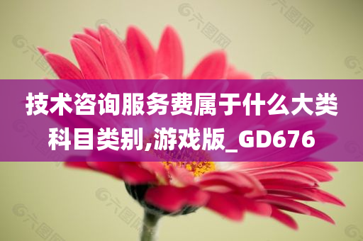 技术咨询服务费属于什么大类科目类别,游戏版_GD676