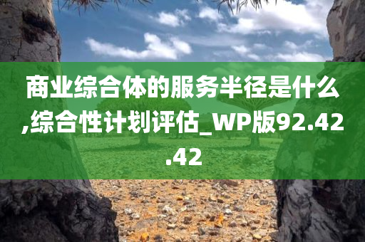 商业综合体的服务半径是什么,综合性计划评估_WP版92.42.42