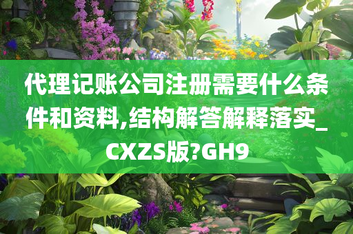 代理记账公司注册需要什么条件和资料,结构解答解释落实_CXZS版?GH9