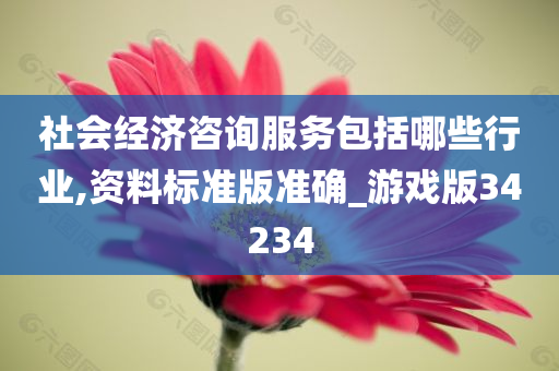 社会经济咨询服务包括哪些行业,资料标准版准确_游戏版34234