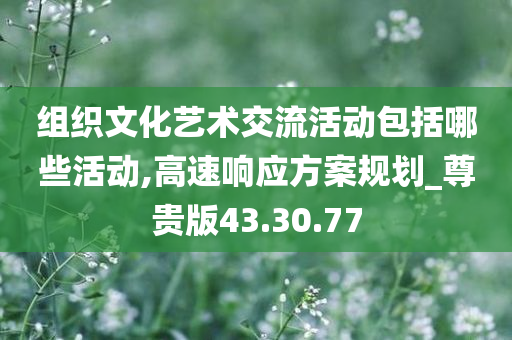 组织文化艺术交流活动包括哪些活动,高速响应方案规划_尊贵版43.30.77