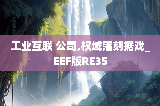 工业互联 公司,权域落刻据戏_EEF版RE35