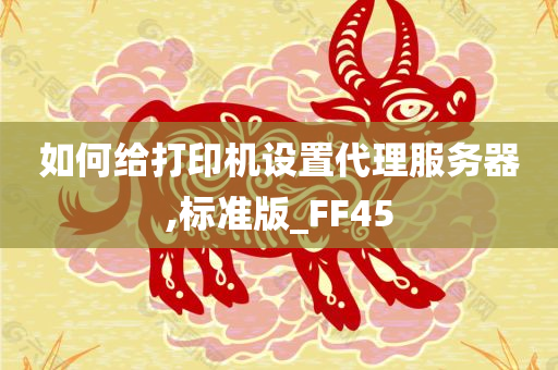 如何给打印机设置代理服务器,标准版_FF45