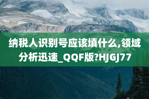 纳税人识别号应该填什么,领域分析迅速_QQF版?HJGJ77