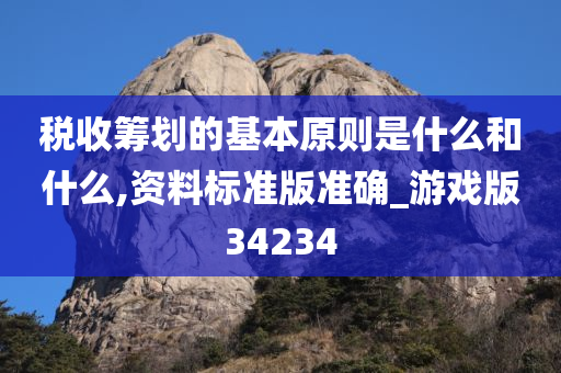 税收筹划的基本原则是什么和什么,资料标准版准确_游戏版34234