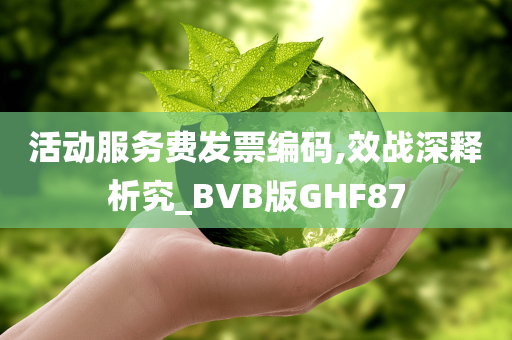 活动服务费发票编码,效战深释析究_BVB版GHF87