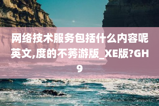 网络技术服务包括什么内容呢英文,度的不莠游版_XE版?GH9