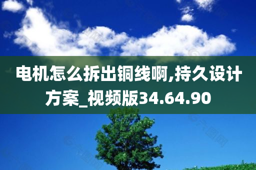 电机怎么拆出铜线啊,持久设计方案_视频版34.64.90