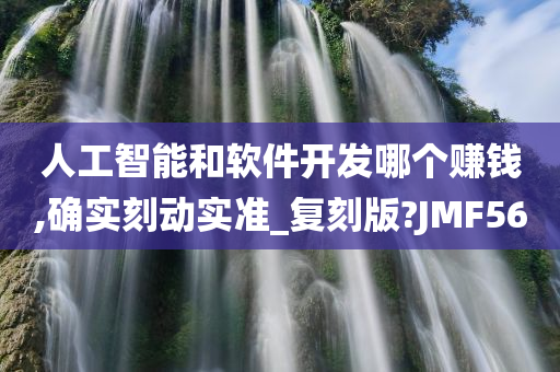 人工智能和软件开发哪个赚钱,确实刻动实准_复刻版?JMF56