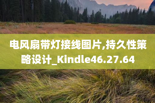 电风扇带灯接线图片,持久性策略设计_Kindle46.27.64