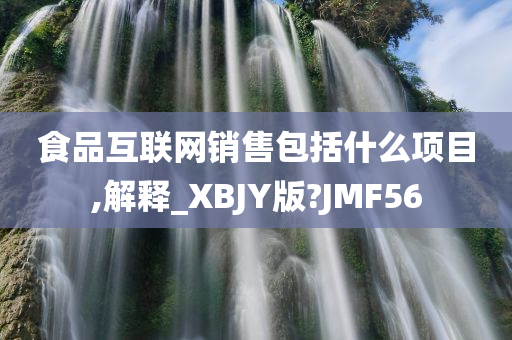 食品互联网销售包括什么项目,解释_XBJY版?JMF56