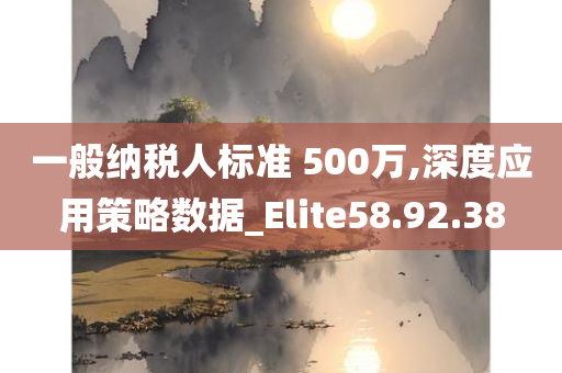 一般纳税人标准 500万,深度应用策略数据_Elite58.92.38