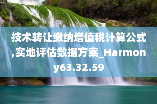 技术转让缴纳增值税计算公式,实地评估数据方案_Harmony63.32.59