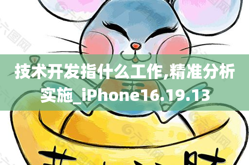 技术开发指什么工作,精准分析实施_iPhone16.19.13