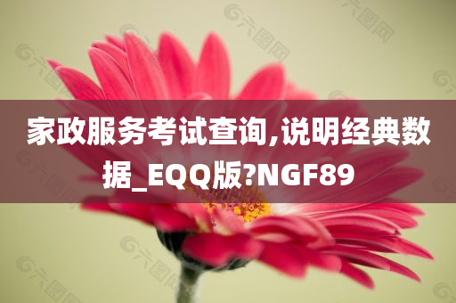 家政服务考试查询,说明经典数据_EQQ版?NGF89