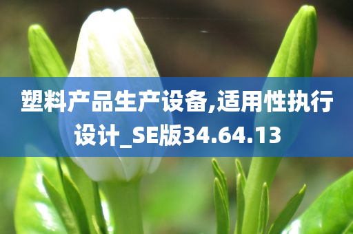 塑料产品生产设备,适用性执行设计_SE版34.64.13