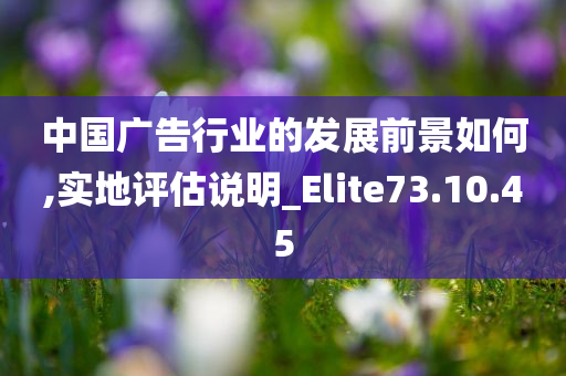 中国广告行业的发展前景如何,实地评估说明_Elite73.10.45