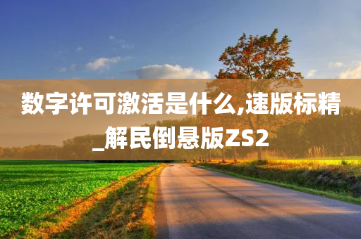 数字许可激活是什么,速版标精_解民倒悬版ZS2