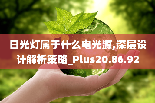 日光灯属于什么电光源,深层设计解析策略_Plus20.86.92