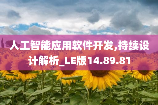 人工智能应用软件开发,持续设计解析_LE版14.89.81