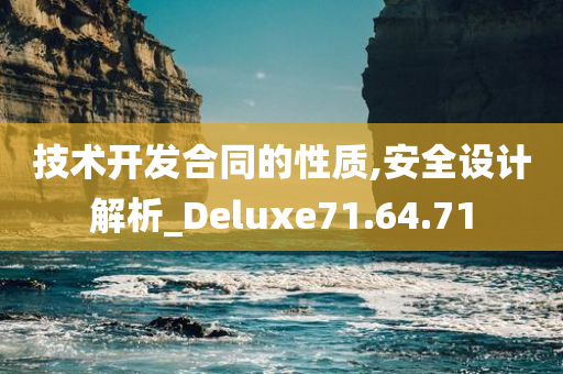 技术开发合同的性质,安全设计解析_Deluxe71.64.71