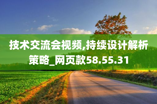 技术交流会视频,持续设计解析策略_网页款58.55.31