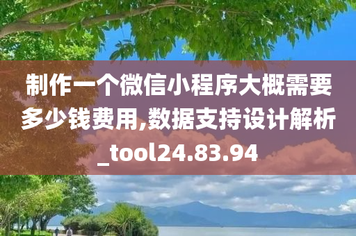 制作一个微信小程序大概需要多少钱费用,数据支持设计解析_tool24.83.94