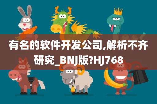 有名的软件开发公司,解析不齐研究_BNJ版?HJ768