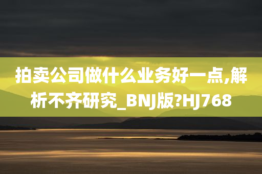 拍卖公司做什么业务好一点,解析不齐研究_BNJ版?HJ768