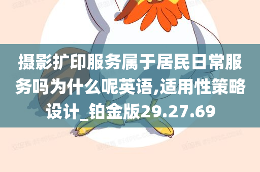 摄影扩印服务属于居民日常服务吗为什么呢英语,适用性策略设计_铂金版29.27.69