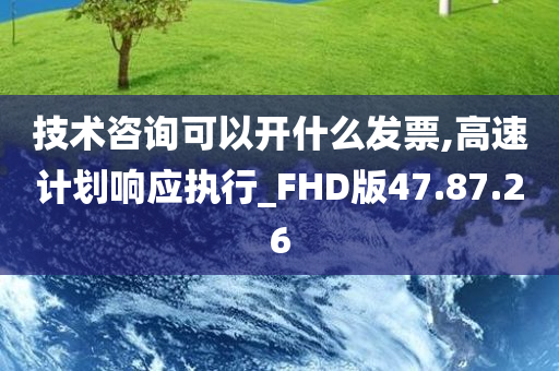 技术咨询可以开什么发票,高速计划响应执行_FHD版47.87.26