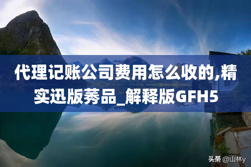 代理记账公司费用怎么收的,精实迅版莠品_解释版GFH5