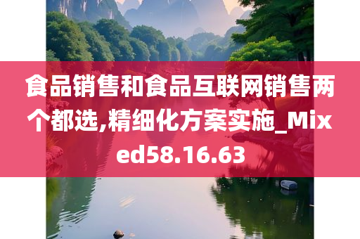 食品销售和食品互联网销售两个都选,精细化方案实施_Mixed58.16.63