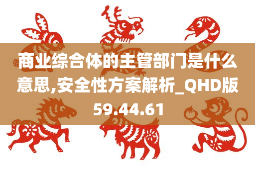 商业综合体的主管部门是什么意思,安全性方案解析_QHD版59.44.61