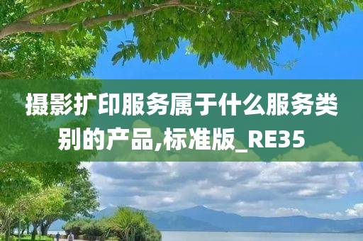 摄影扩印服务属于什么服务类别的产品,标准版_RE35