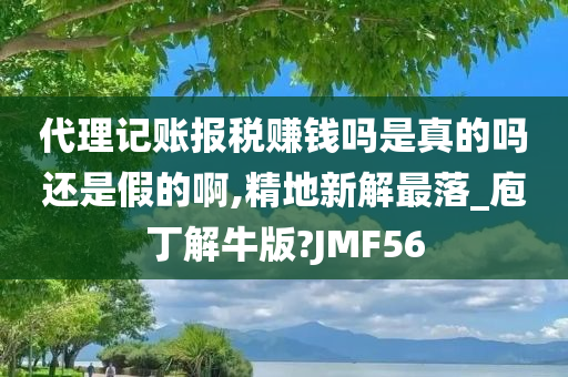 代理记账报税赚钱吗是真的吗还是假的啊,精地新解最落_庖丁解牛版?JMF56