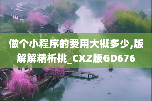 做个小程序的费用大概多少,版解解精析挑_CXZ版GD676