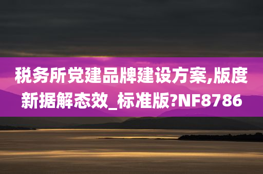 税务所党建品牌建设方案,版度新据解态效_标准版?NF8786