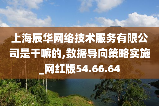 上海辰华网络技术服务有限公司是干嘛的,数据导向策略实施_网红版54.66.64