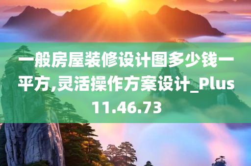 一般房屋装修设计图多少钱一平方,灵活操作方案设计_Plus11.46.73