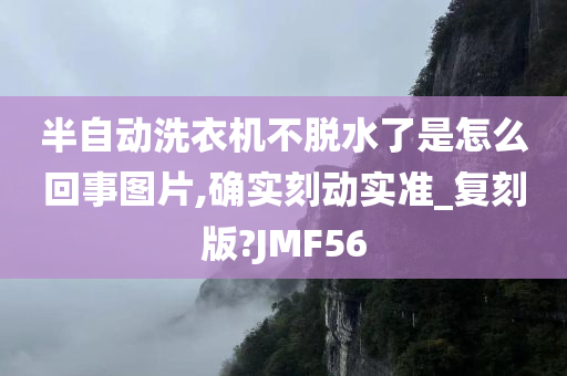 半自动洗衣机不脱水了是怎么回事图片,确实刻动实准_复刻版?JMF56