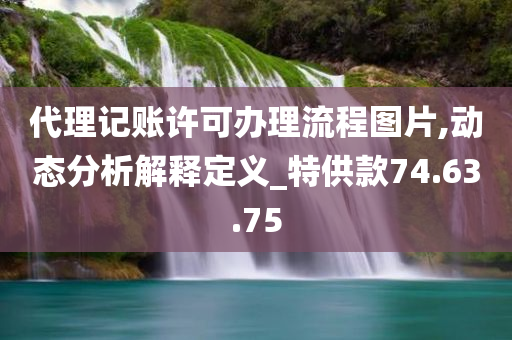 代理记账许可办理流程图片,动态分析解释定义_特供款74.63.75