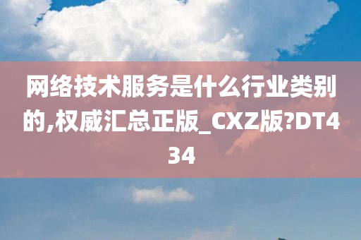 网络技术服务是什么行业类别的,权威汇总正版_CXZ版?DT434