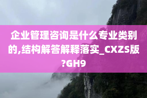 企业管理咨询是什么专业类别的,结构解答解释落实_CXZS版?GH9