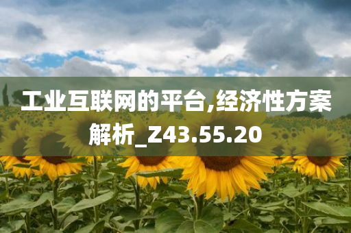 工业互联网的平台,经济性方案解析_Z43.55.20