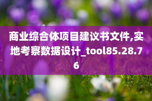 商业综合体项目建议书文件,实地考察数据设计_tool85.28.76