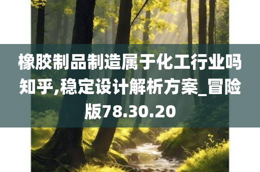 橡胶制品制造属于化工行业吗知乎,稳定设计解析方案_冒险版78.30.20