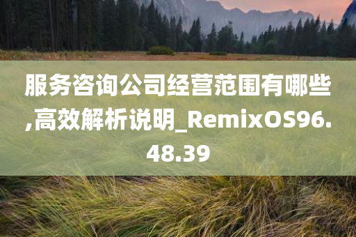 服务咨询公司经营范围有哪些,高效解析说明_RemixOS96.48.39